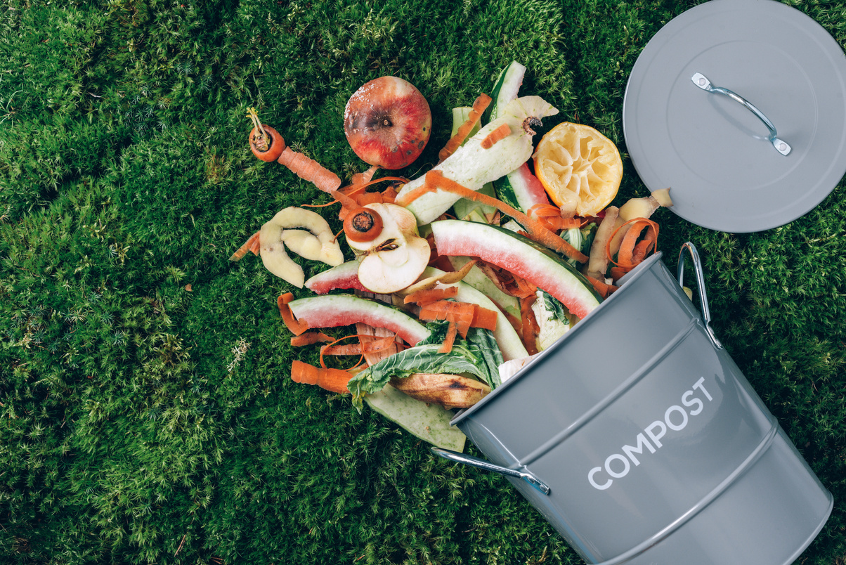 Food Waste in Composter  